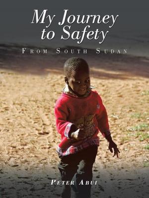 Cover of the book My Journey to Safety by Brenda Strauch