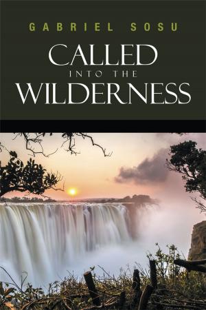 Cover of the book Called into the Wilderness by Dennis Clark