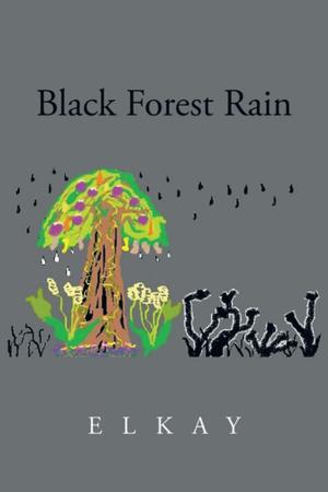 Cover of the book Black Forest Rain by Jeffrey Allen Davis