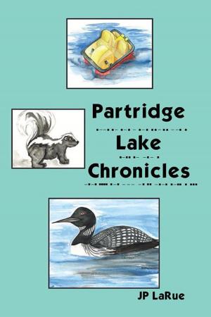 Cover of the book Partridge Lake Chronicles by Beni-Kofi Amedekanya
