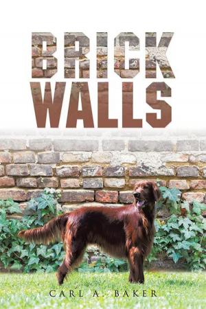 Cover of the book Brick Walls by Daniel Omizu Ojadua