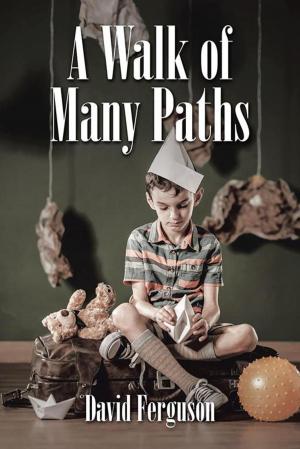 Book cover of A Walk of Many Paths