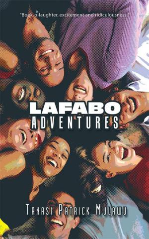 Cover of the book Lafabo Adventures by Pamela Mandela Idenya