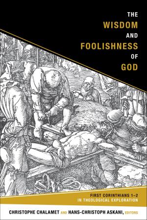Cover of the book The Wisdom and Foolishness of God by Lauri Thuren