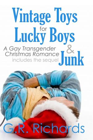 Book cover of Vintage Toys for Lucky Boys and Junk: A Gay Transgender Christmas Romance
