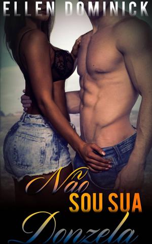 Cover of the book Não Sou Sua Donzela by Lulu Jones