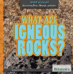 Cover of the book What Are Igneous Rocks? by Tracey Baptiste