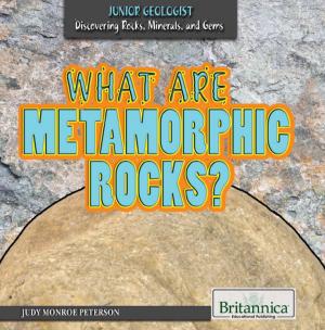Cover of the book What Are Metamorphic Rocks? by Michael Anderson