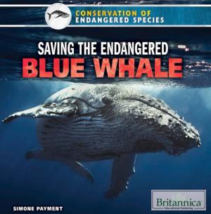 Book cover of Saving the Endangered Blue Whale
