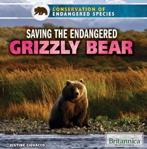 Cover of the book Saving the Endangered Grizzly Bear by Jeff Wallenfeldt