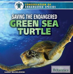 Cover of the book Saving the Endangered Green Sea Turtle by Heather Moore Niver