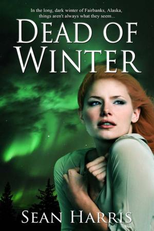Cover of the book Dead of Winter by Debbie  Peterson