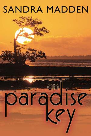 Cover of the book On Paradise Key by Christine DePetrillo