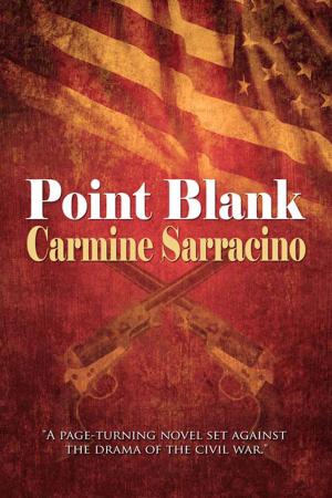bigCover of the book Point Blank by 