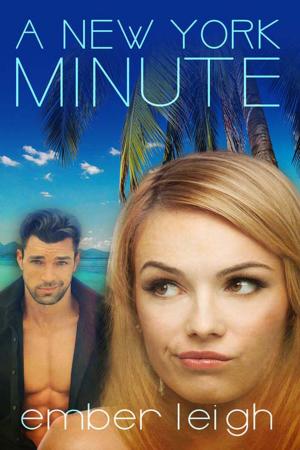 Cover of the book A New York Minute by Danny Tyran