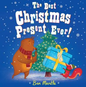 Cover of the book The Best Christmas Present Ever! by Anita Hansemann