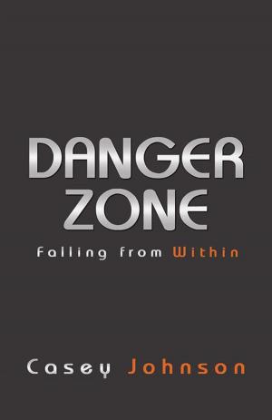 Cover of the book Danger Zone by Nadejda Hristova