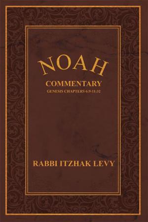 Cover of the book Noah by Daniel J. Carlson