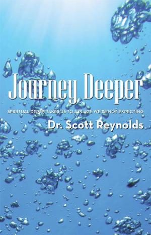 Cover of the book Journey Deeper by Dennesha K Frazer