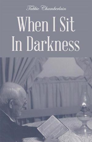 Cover of the book When I Sit in Darkness by Christy Hill