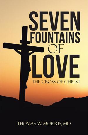 Cover of the book Seven Fountains of Love by Brian K. Holmes