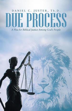 Cover of the book Due Process by Silvia Escobar