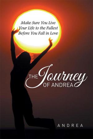 Cover of the book The Journey of Andrea by J. Elizabeth Kraft
