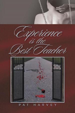 Cover of the book Experience Is the Best Teacher by Gerald Leischuck