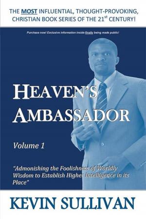 Book cover of Heaven’S Ambassador