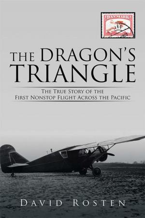 Cover of the book The Dragon’S Triangle by Jon Seawright