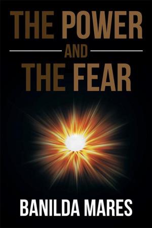 Cover of the book The Power and the Fear by Rachmiel Tobesman