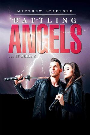 Cover of the book Battling Angels by Daniel J. Praz
