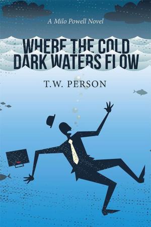 Cover of the book Where the Cold Dark Waters Flow by Fabian Rodriguez