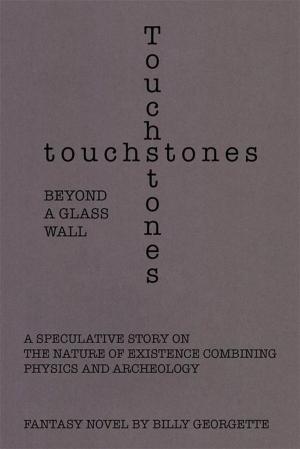 Cover of the book Touchstones by Daniel Cantwell