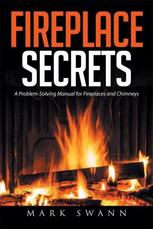 Cover of the book Fireplace Secrets by Tabatha Kohler