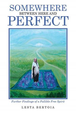 Cover of the book Somewhere Between Here and Perfect by Bishop Donald O. Clay Jr.