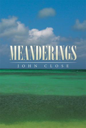 Cover of the book Meanderings by Carlo Ross, Lauren Friesen