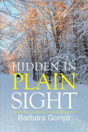 Cover of the book Hidden in Plain Sight by Stitch Frizbin