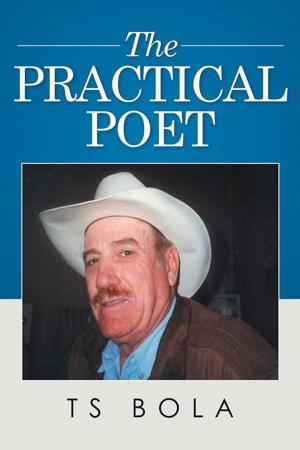 Cover of the book The Practical Poet by Thomas D. Sharts M.Ed