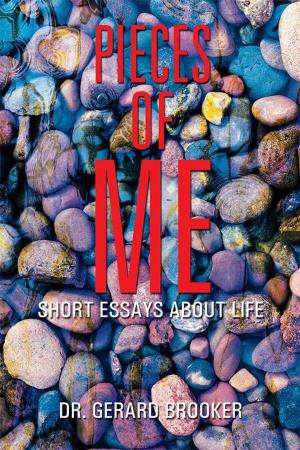 Cover of the book Pieces of Me by Paul Easter