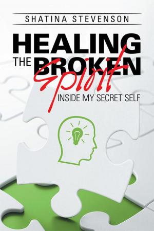 Cover of the book Healing the Broken Spirit by Meghashyam Chirravoori, Krupa Chirravoori