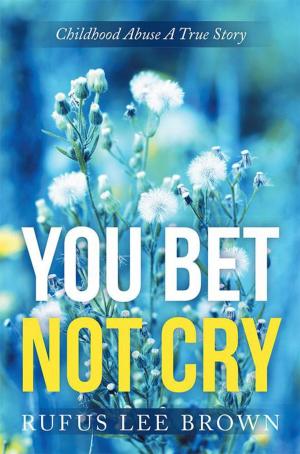 Cover of the book "You Bet Not Cry" by Coleen Fountain