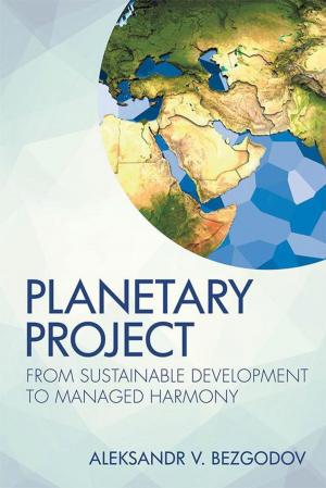 Cover of the book Planetary Project by Malcolm Carruthers