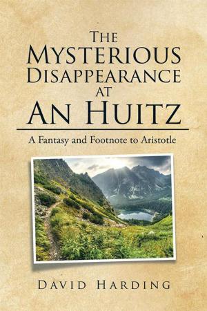 Cover of the book The Mysterious Disappearance at an Huitz by Iris Efthymiou - Egleton