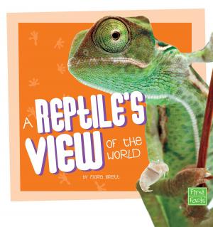 Cover of the book A Reptile's View of the World by John Sazaklis