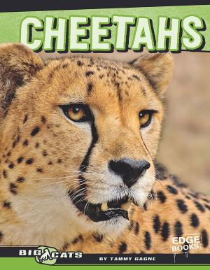 Cover of the book Cheetahs by J.E. Bright