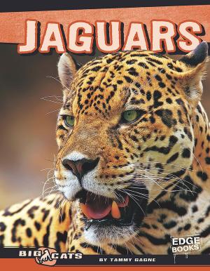 Cover of the book Jaguars by Alan MacDonald