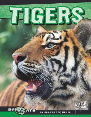 Cover of the book Tigers by Kean Soo