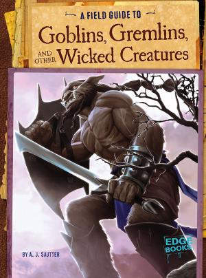 Cover of the book A Field Guide to Goblins, Gremlins, and Other Wicked Creatures by Margaret Mary Policastro