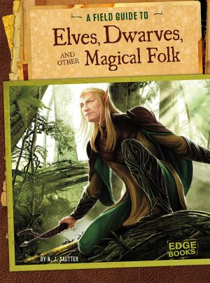 Cover of the book A Field Guide to Elves, Dwarves, and Other Magical Folk by Anita Ganeri